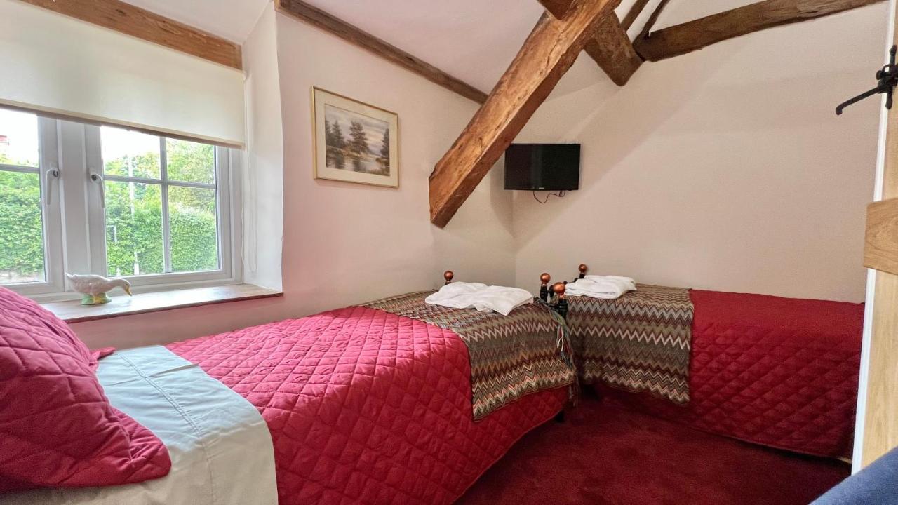 Cosy Cottage Wellington  Ngoại thất bức ảnh